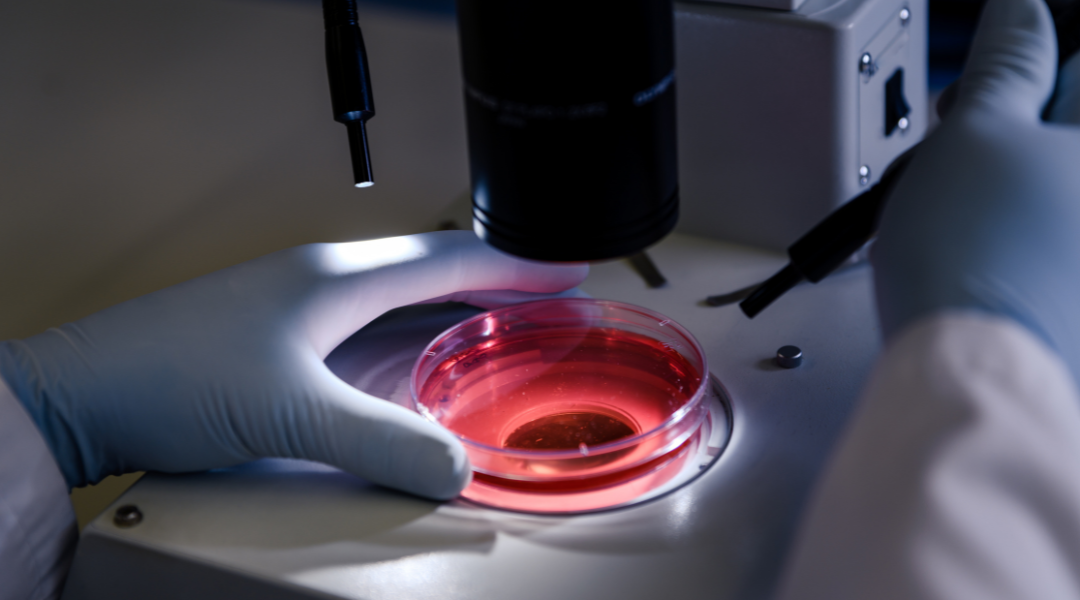 تحاليل علم الخلايا في مركز الآفاق للرعاية الطبية في عبري - الدريز