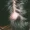alopecia-treatment