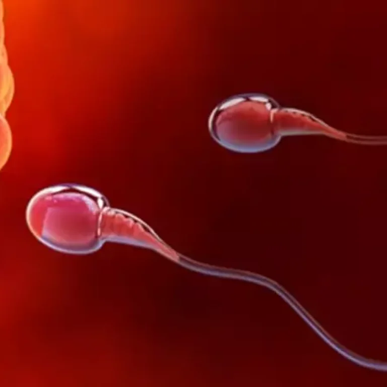 infertility-treatment